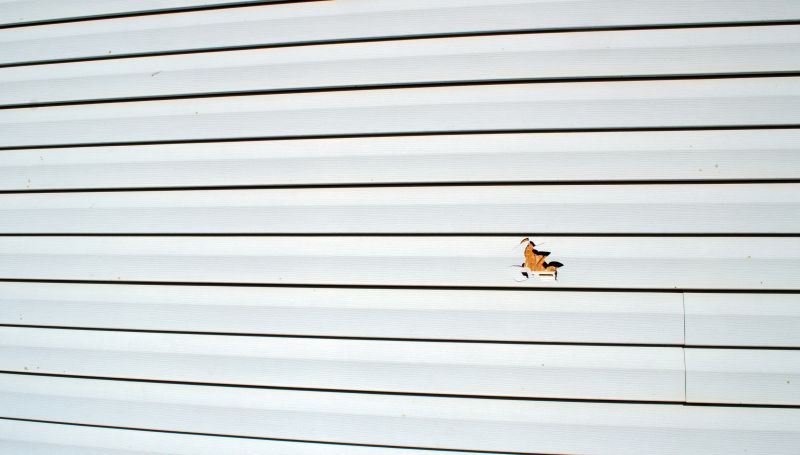 Vinyl Siding Repair and Replacement