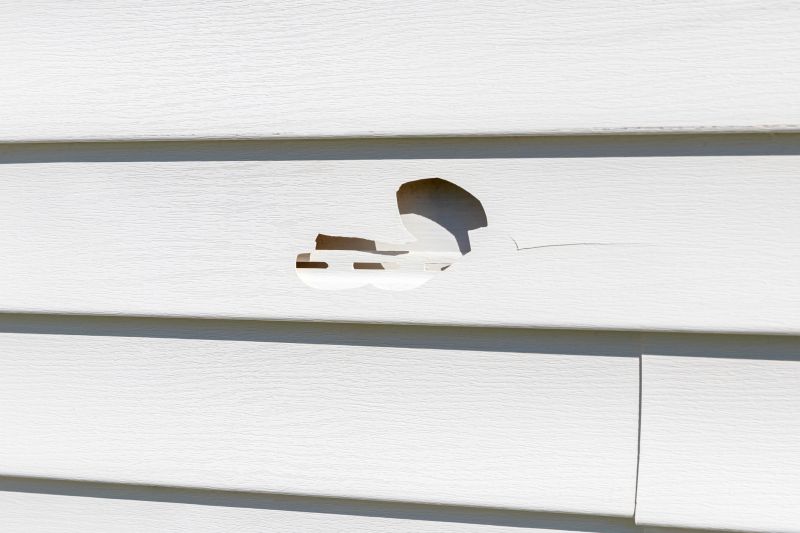 Vinyl Siding Repair - Panel Replacement
